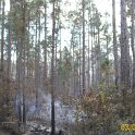 2012-Mar-03HGR4X4Richloam 142
